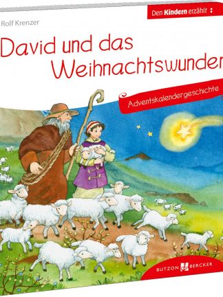 David und das Weihnachtswunder. Adventskalendergeschichte